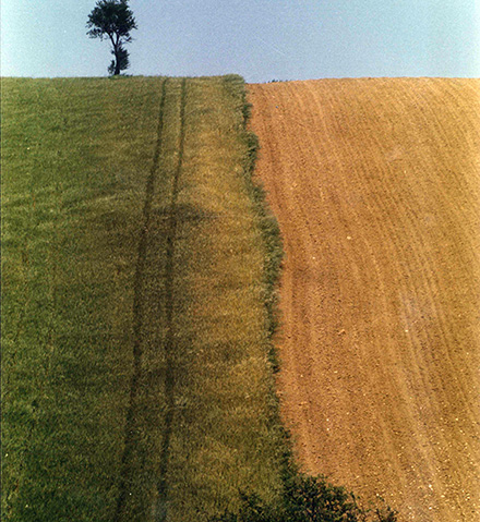 foto - luigi forcella - atmosfere materiche