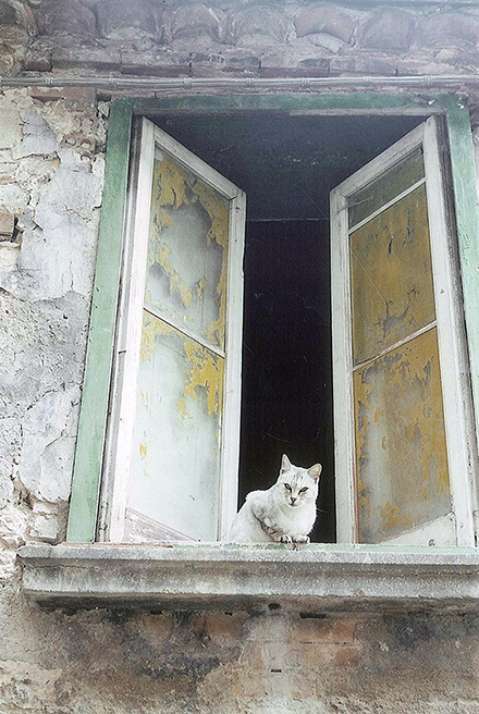 foto - luigi forcella - incognita